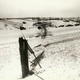 Illustration for article titled These Previously Unseen Photos Bear Witness to the Carnage of World War II